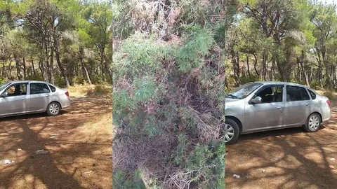 Arazide araba içinde sikişen çifti gizlice çekiyor