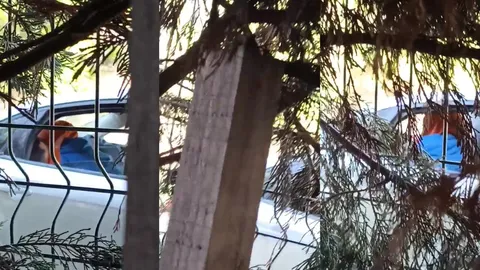 türbanlı bacımız public Arşive Devam