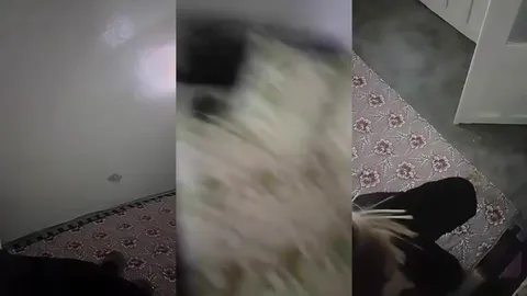 evli kuzen işimi görüyor diye paylaşmış eleman Arşivin derinliklerinden çıktı kalite yükselttim max bu Geceye amatör sakso